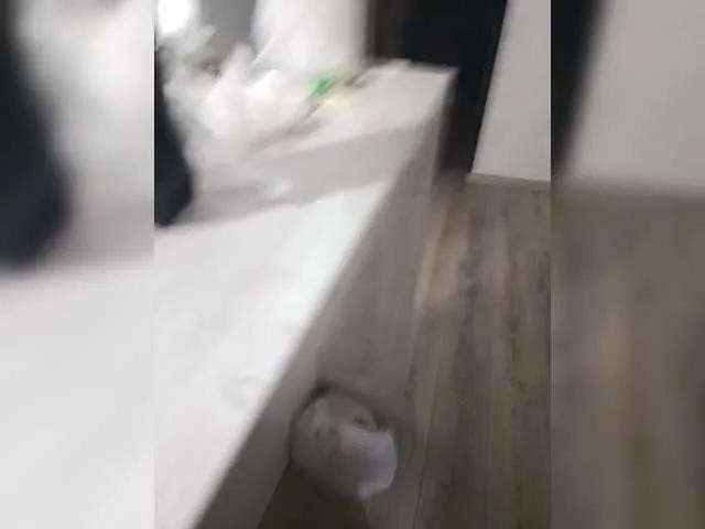 14Osobovi88 on BongaCams
