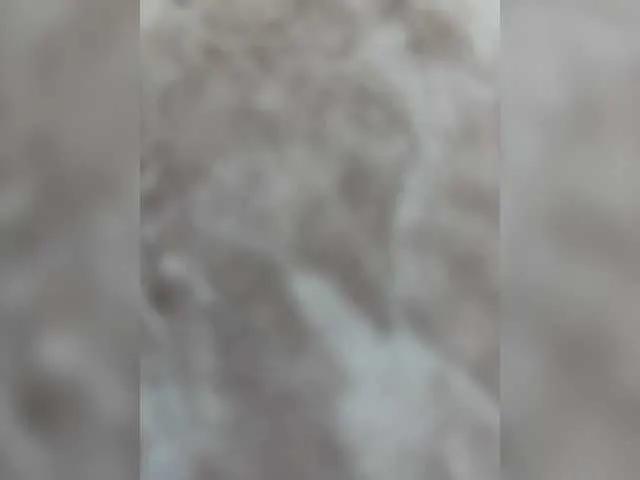 leila17 on BongaCams 