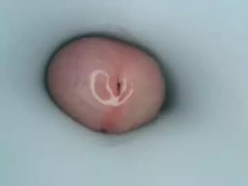 jeffrodgerschaturbat from Chaturbate