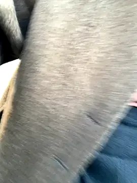 cgooh-611 on StripChat 