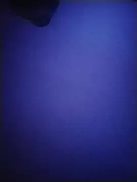 Donostiipar on StripChat 