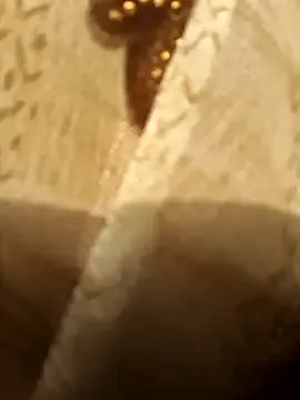 Fasfas2 on StripChat